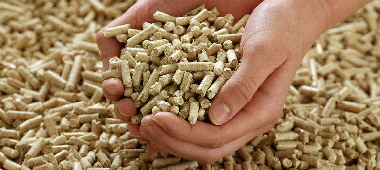 Combustible ecológico pellets